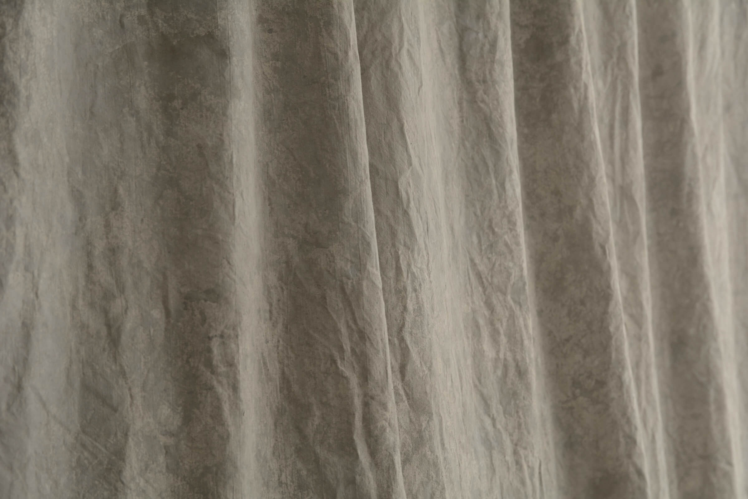 Duży Beżowy Gnieciuch